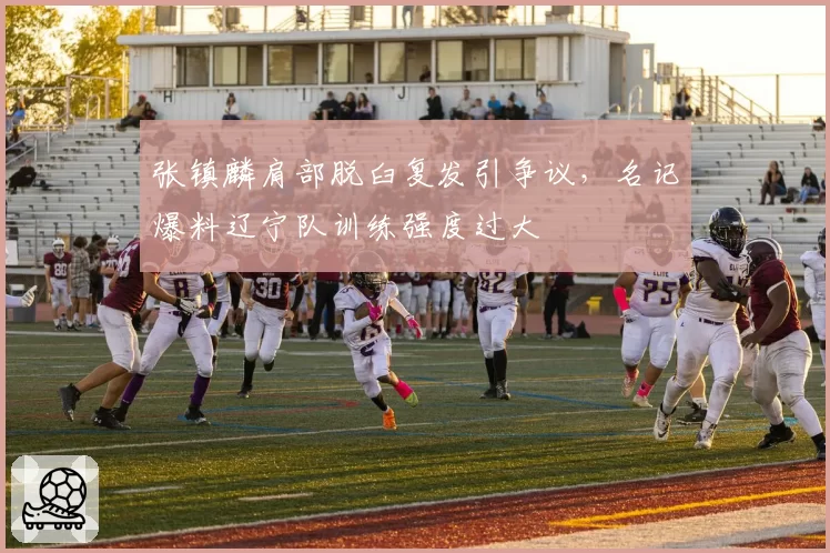 张镇麟肩部脱臼复发引争议,名记爆料辽宁队训练强度过大