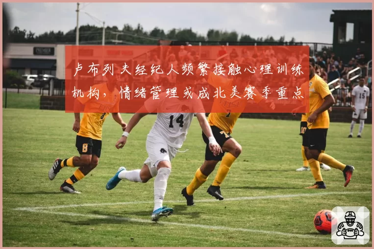 卢布列夫经纪人频繁接触心理训练机构,情绪管理或成北美赛季重点